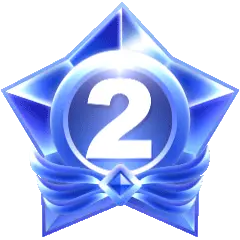 2级用户